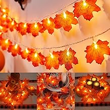 Herbst Lichterkette,1.5M 10 LED Ahornblatt Lichterketten,Ahornblätter Lichterketten Dekoration,Herbst Girlande Batteriebetrieben,Herbst Blättergirlande mit LED für Party Halloween, Erntedankfest