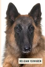 Belgian Tervuren: Funny Wide Ruled Notebook Gift For Belgian Tervuren Lovers - Perfect Belgian Tervuren Gift On Valentine Day/Birthday/Halloween - 6 x 9 Inches - 110 Lined Pages
