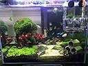 Thumbnail 21