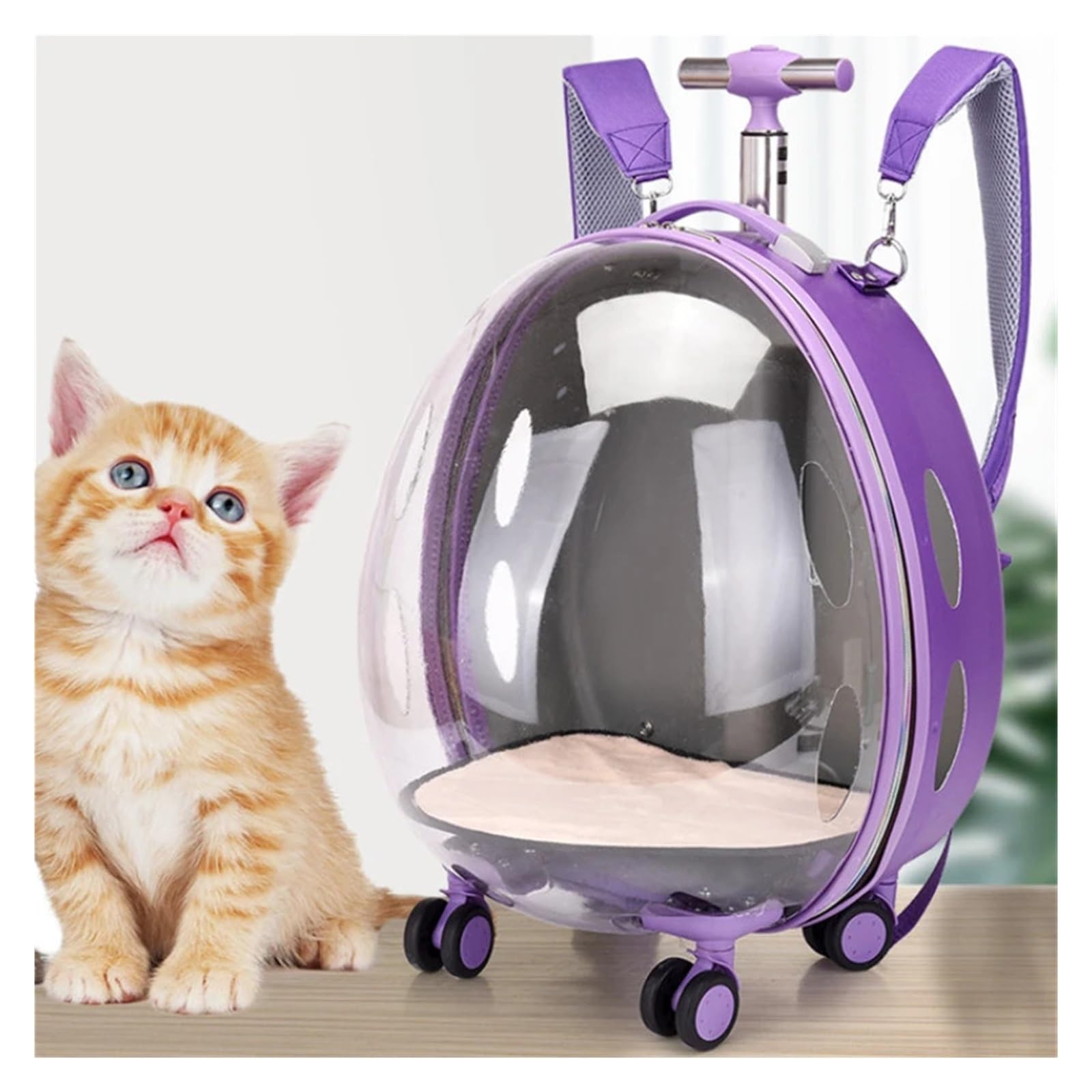 Bagagli for animali domestici, Valigia for animali domestici Trolley trasparente Borsa for gatti Fuori Capsula spaziale portatile for cani Zaino di grande capacità for viaggi all'aperto(Khaki