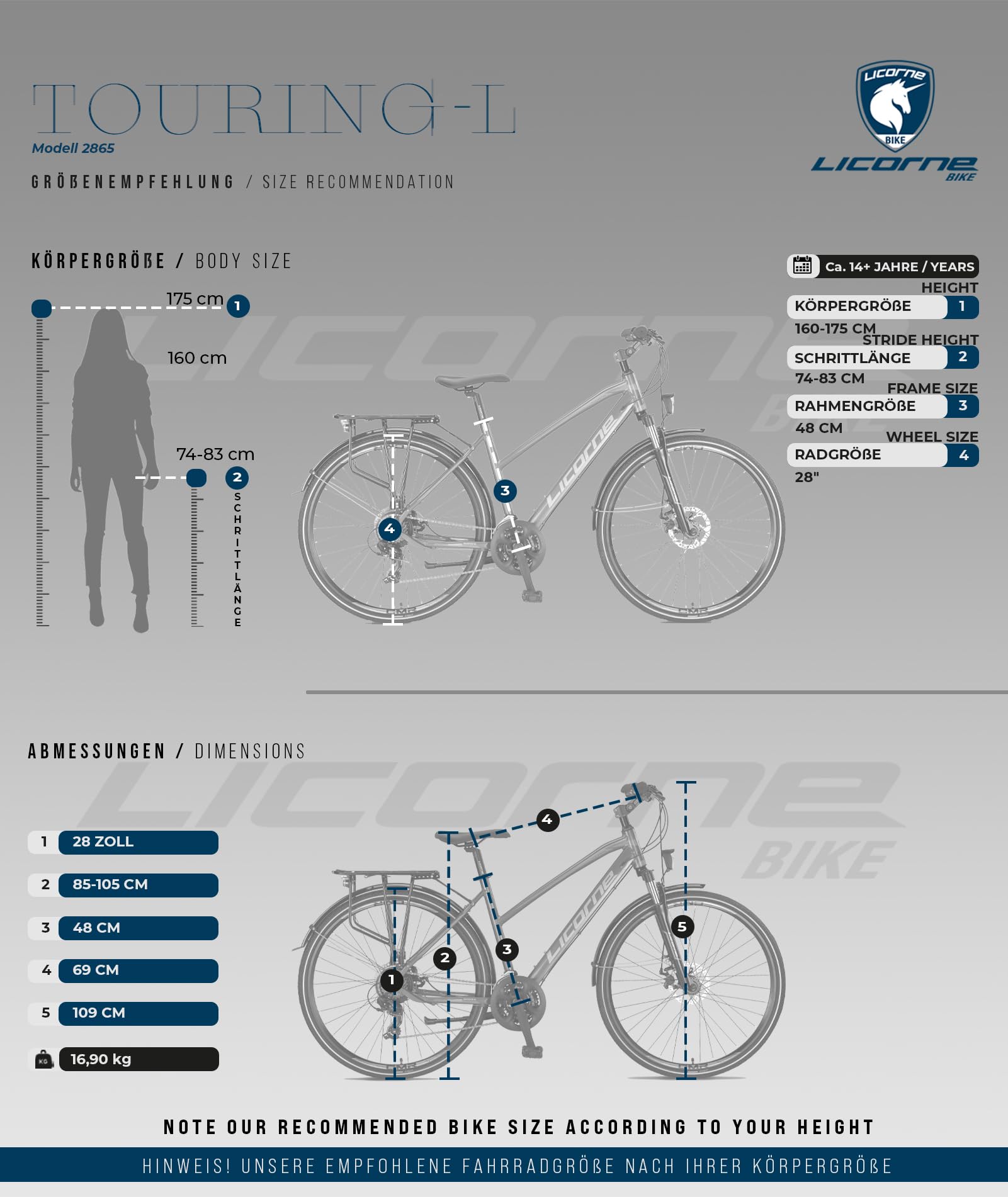 Licorne Bike Bicicleta de trekking Premium Touring en 28 pulgadas de aluminio con freno de disco para niños, niñas, mujeres y hombres – 21 velocidades – bicicleta de montaña – Crossbike