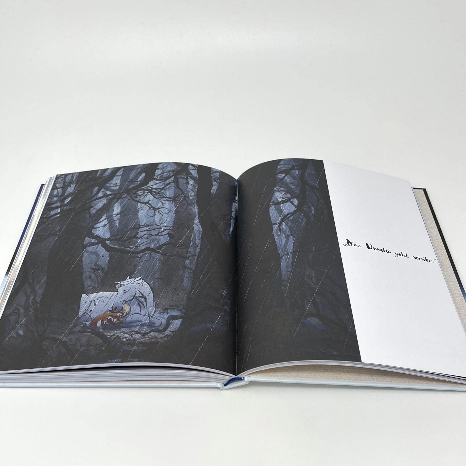 Der Junge, der Maulwurf, der Fuchs und das Pferd. Eine bewegte Geschichte: Der Oscar-Gewinner 2023 - ein Buch, so schön wie eine Umarmung