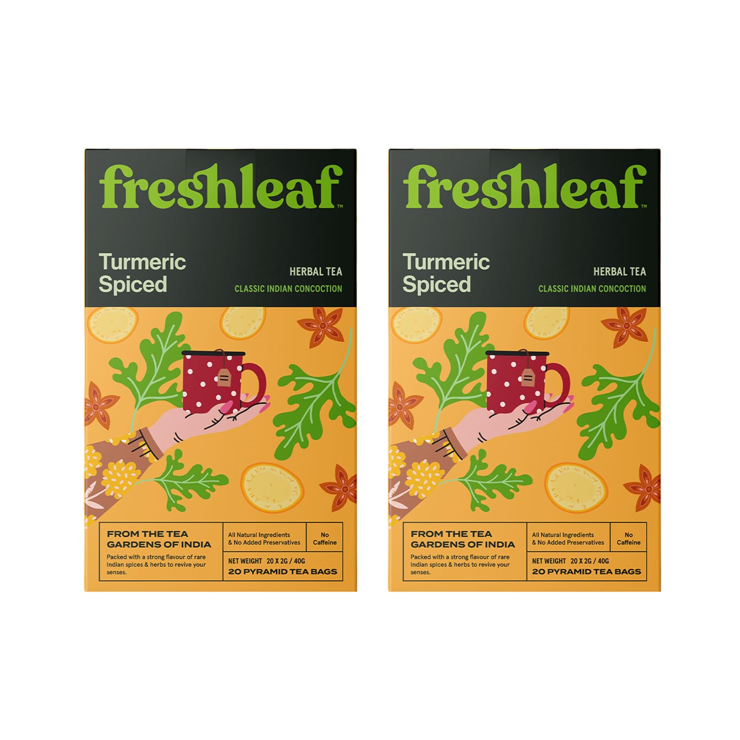 FRESHLEAF Herbal Tea A Powerful Blend Of Warm Spice And Zing, Rich With Antioxidants, 20 Pyramid Bags Each Bags (Turmeric Spiced, 40 Tea bags) (B0CMH4L6HC) Amazon Price History, Amazon Price Tracker