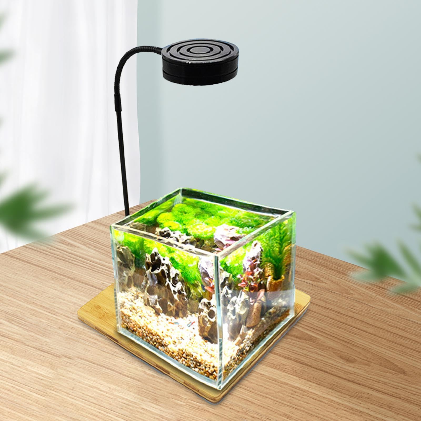 Fenteer Aquariumlicht, USB-betriebene Mehrzweck-Pflanzenlampe fr Aquarien  mit Stnder fr Zimmerpflanzen und Topfpflanzen, 9W : Amazon.de: Haustier