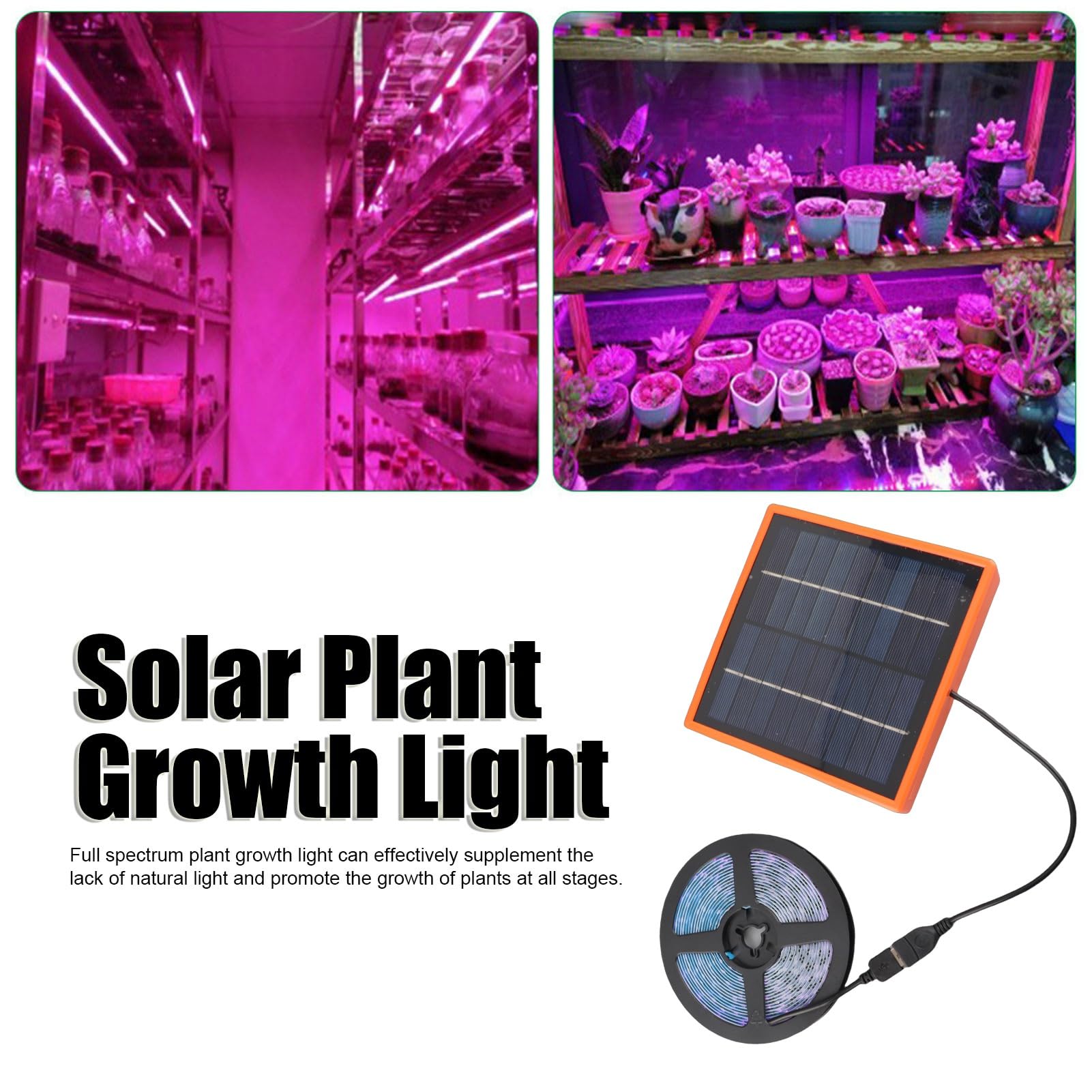 Lumière de Croissance de Plantes Solaires 5V, Bande de Lampe à LED de 16,4 Pieds, Lampe de Culture de Plantes à Spectre Complet à LED D'extérieur Solaire pour le Jardinage Sous Serre