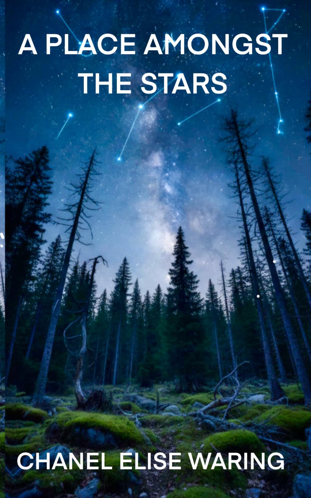 A PLACE AMONGST THE STARS