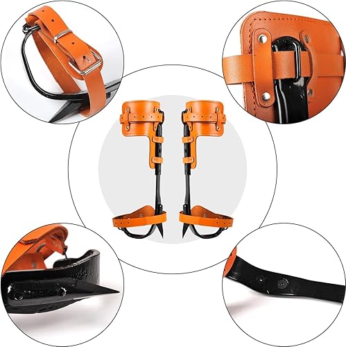 Miniatura 2 de KTTR Picos de escalada de árboles, crampones de herramienta de escalada de árboles, altura ajustable y con correas de cuero de vaca, para