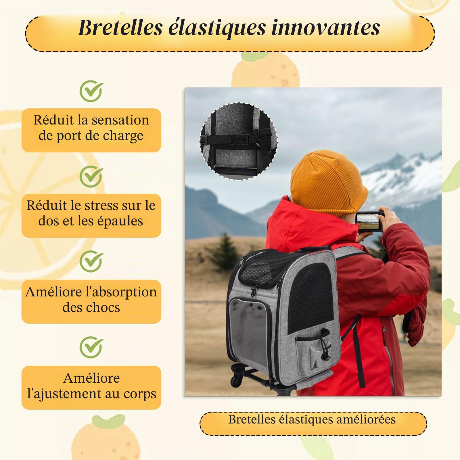 Sac à dos chat transport, transport chat, roues de transport, sac à dos pour chiens avec roues, convient pour chiens et chats jusqu'à 15 kg, idéal pour les promenades, les voyages et les visites chez
