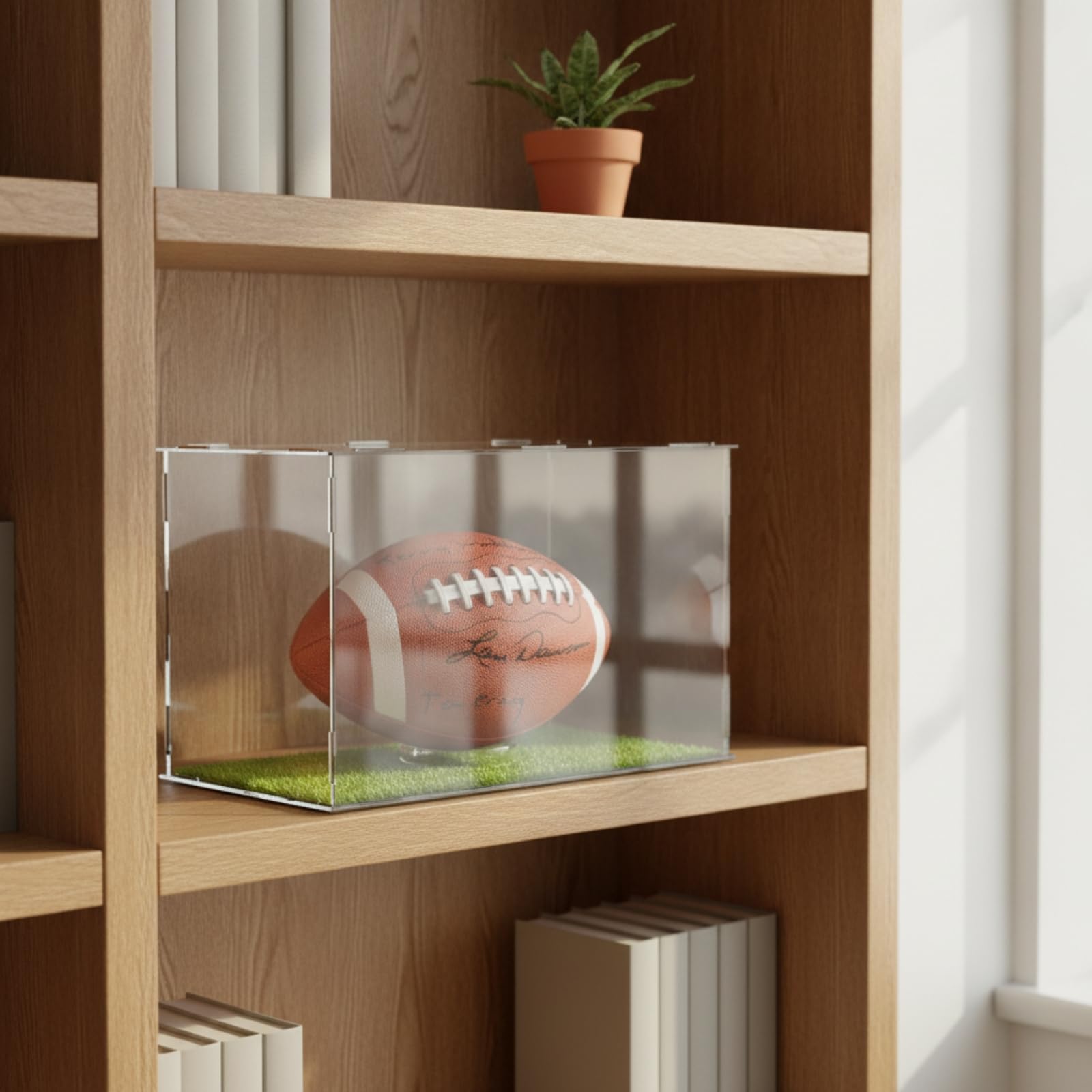 Contenitore Portaoggetti in Acrilico Scatola Teche Supporto Base Inserti Vetrina con Sintetica Funzione Esposizione Trasparente con Supporto per Mini Palla Adatto per Regalo, 30x20x20 Cm