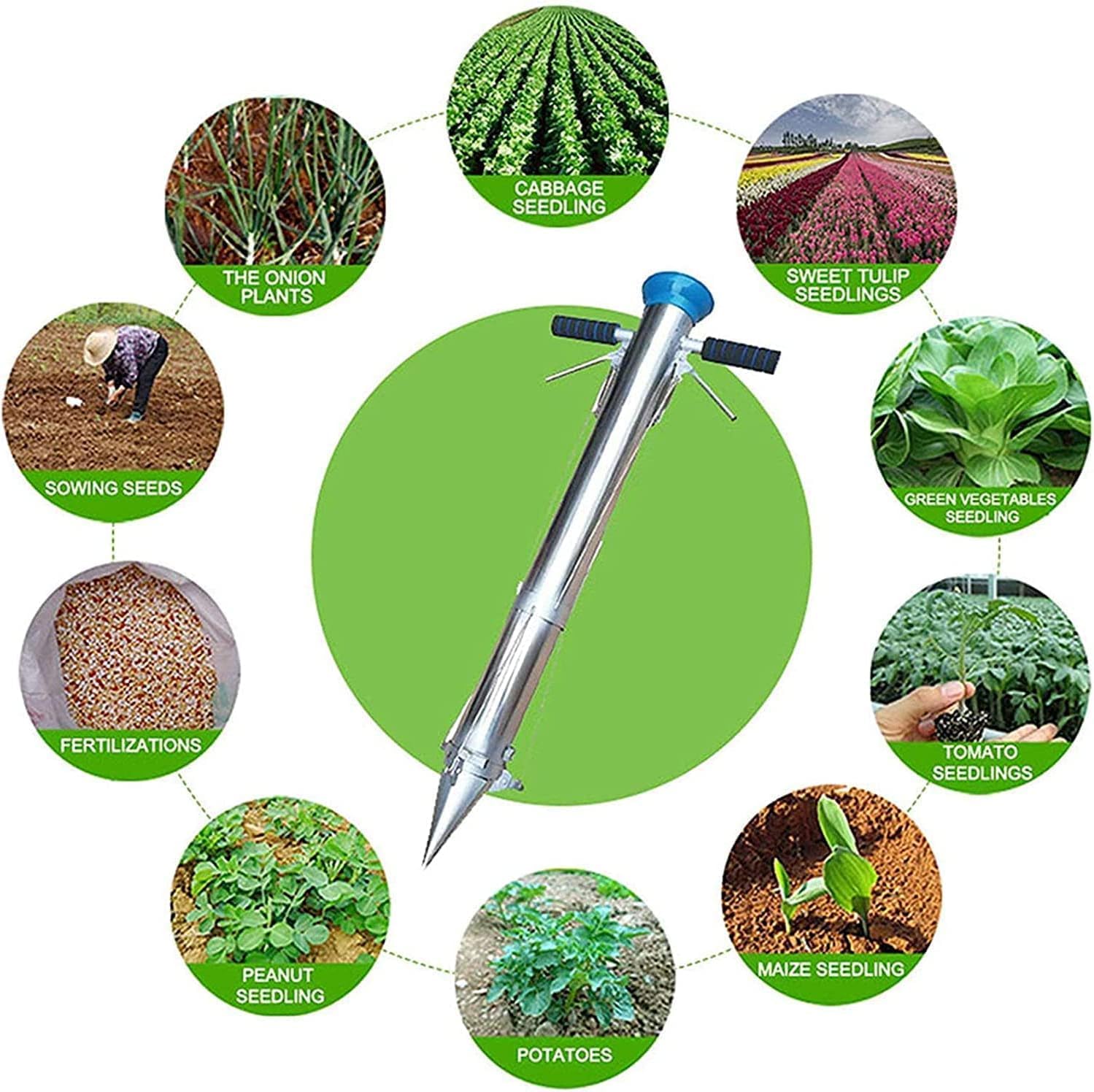 Aimery Vegetable Transplanter, Seedling Transplanter, Stainless Steel Seedling Transplanter, Seedling Garden Greenhouse Manual Transplanting Tool, for Outdoor for Rural for Garden (Color : Double Han