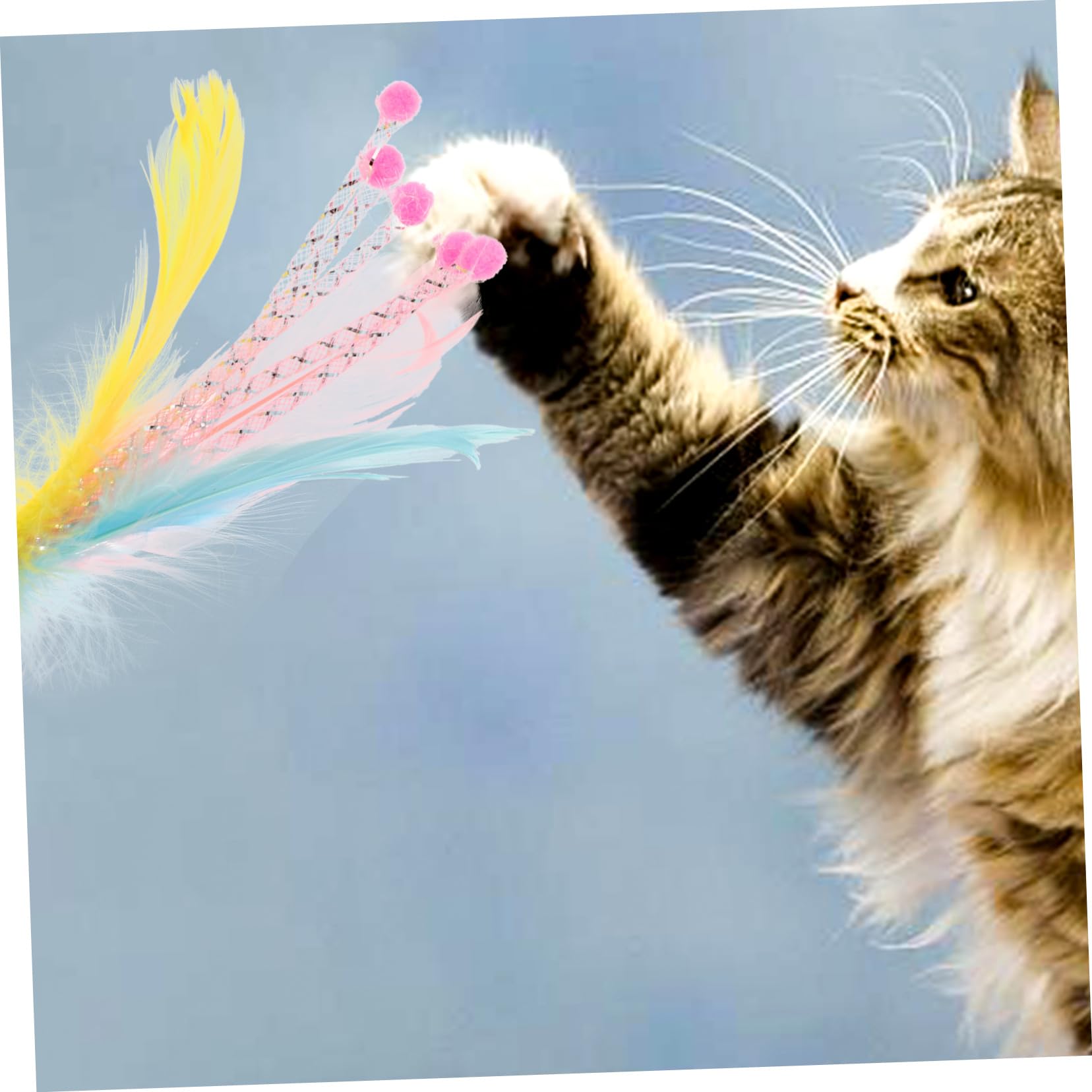 INOOMP 40pièces Jouets à Plume pour Chats Recharges pour Interactions Ludiques Intérieur Et Extérieur Améliorez De Votre Chat avec Sécurité