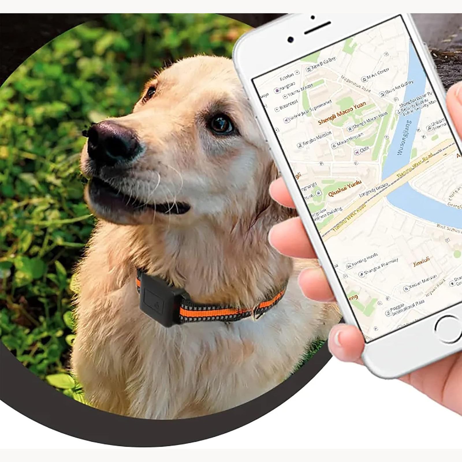 Collar Rastreador GPS For Mascotas, Sistema De Contención Eléctrico Portátil con Valla Inalámbrica For Perros, Monitor De Actividad, Impermeable, Recargable, For Perros, Gatos Y Mascotas