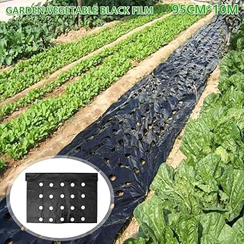 マルチシート 71I2IeAylML._UF350,350_QL80_.jpg