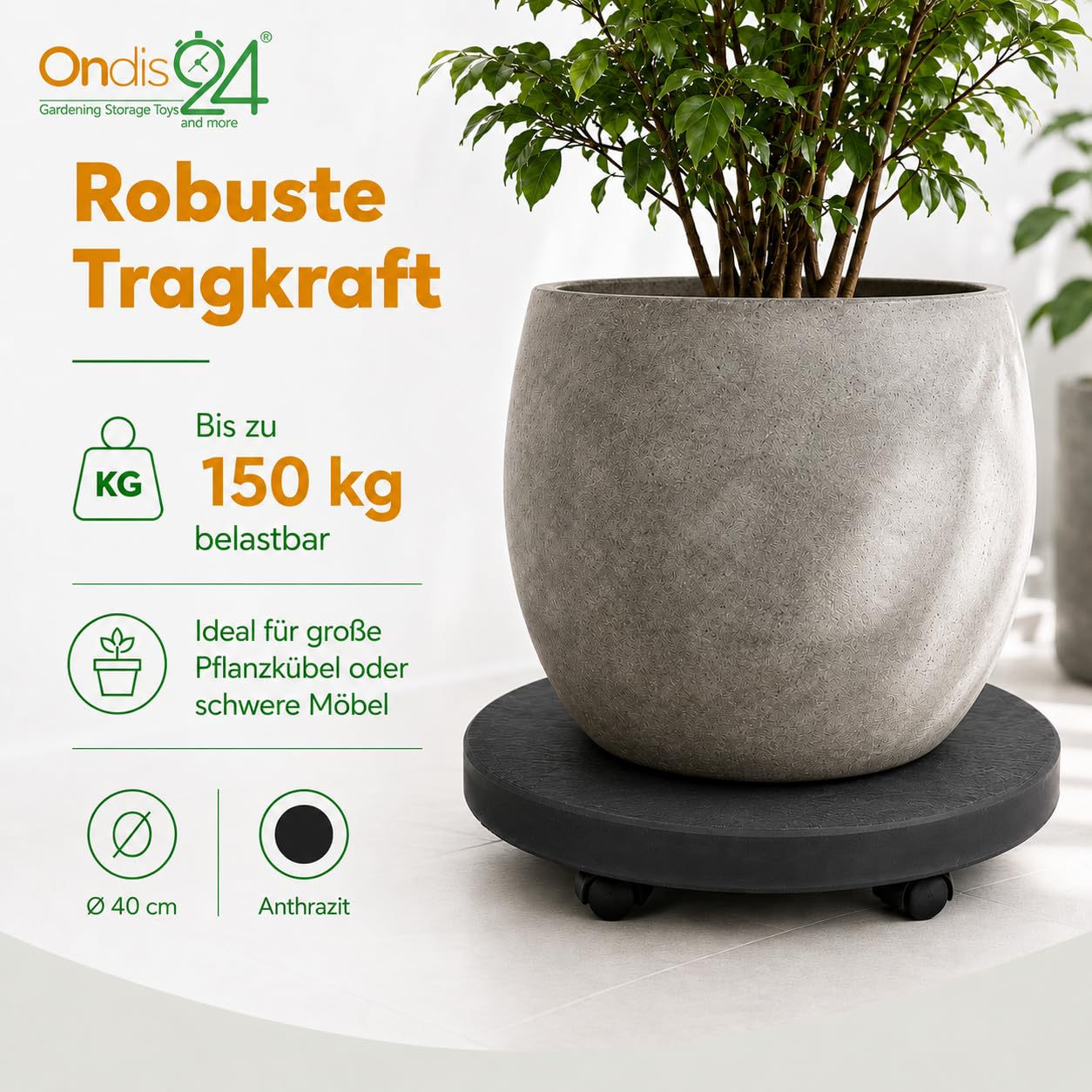 Ondis24 Pflanzenroller bis 150 kg Blumenroller mit unsichtbaren Rollen Möbelroller Kübelroller Pierre (⌀ 40cm, Anthrazit)