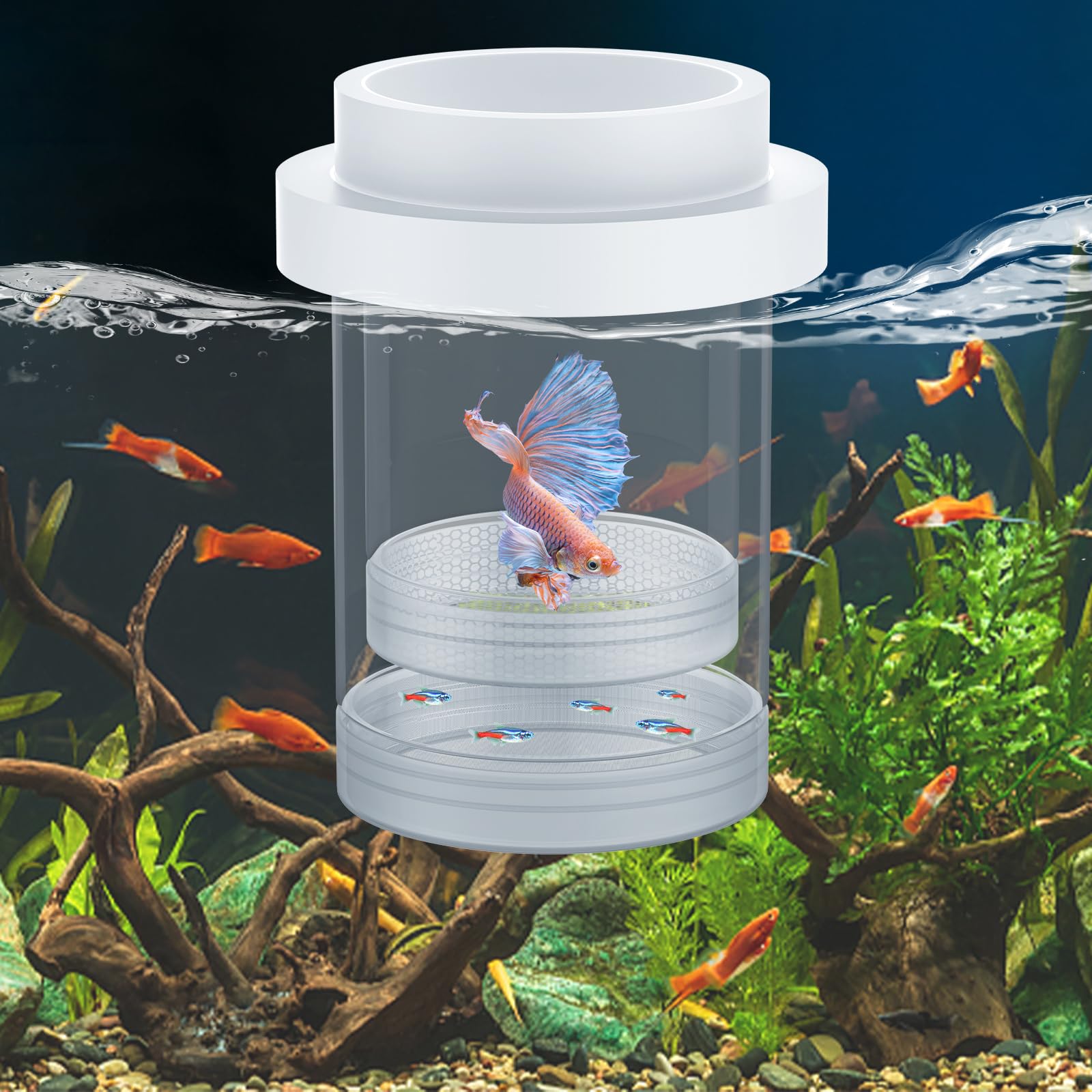 Pawfly Large Breeder Box for Fish Tank, Floating Guppy Breeder Box, Plastic Hatchery Incubator Isolation Box for Shrimp Betta Clownfish, Baby Fish