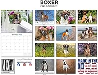 Vista 490 de Razas de Perros 2017