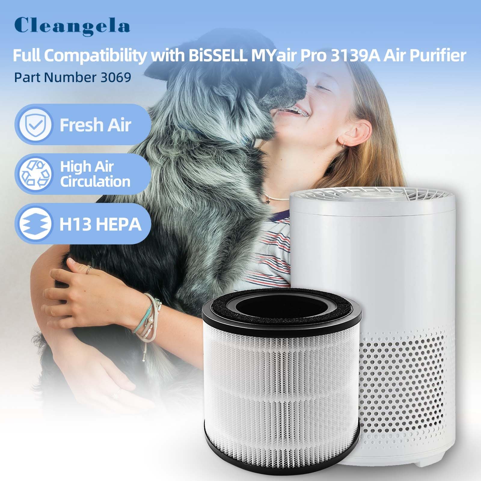 PUREBURG Filtro de repuesto compatible con Bissell MYair y MYair HUB 2905A 3179A purificadores de aire # 3389, paquete de 2 purificadores de aire H13 HEPA de carbón activado de PUREBURG Filtro de repuesto compatible con Bissell MYair y MYair HUB 2905A 3179A purificadores de aire # 3389, paquete de 2 purificadores de aire H13 HEPA de carbón activado de