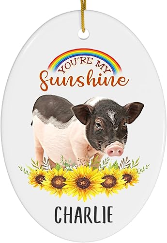 You are My Sunshine - Mini silla de montar para mujer, diseño de girasol, arcoíris, adornos de Navidad personalizados 2023 ovalada de cerámica