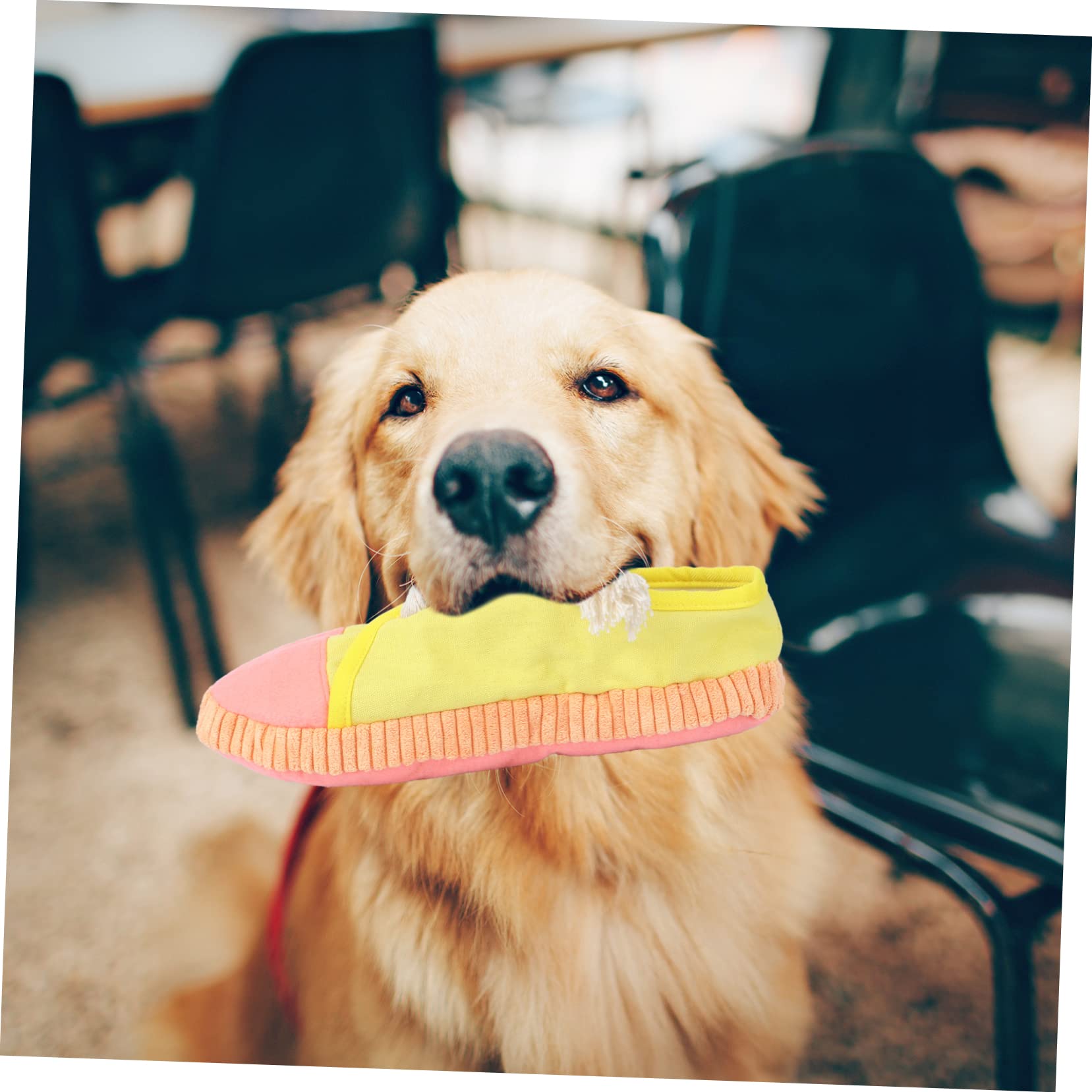 Beavorty 3stücke Spielzeug Interaktives Quietschspielzeug Für Hunde Langlebig Und Beißen Und Zähneputzen Für Spiel Und Beschäftigung Leuchtendes Design