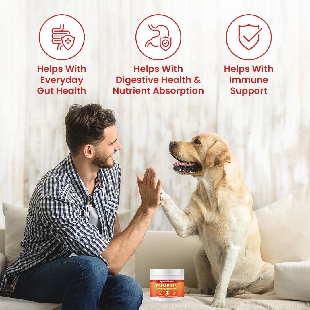 Special Breed 3-in-1 Pumpkin Powder for Dogs (16 oz) - with Organic Pumpkin, Pumpkin Seed, & Apple, All Natural Dog Digestive Support, Great Balance of Soluble and Insoluble Fiber for Dogs, 60 Scoops