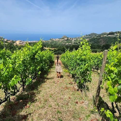 Episode 636: How to Live Abroad Part-time (with Laurel Attanasio)