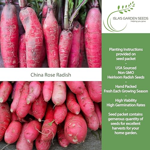 Miniatura 2 de Semillas de rábano rosa rosa de China para plantar, más de 125 semillas de reliquia por paquete, semillas de jardín de Isla (semillas de jardín de