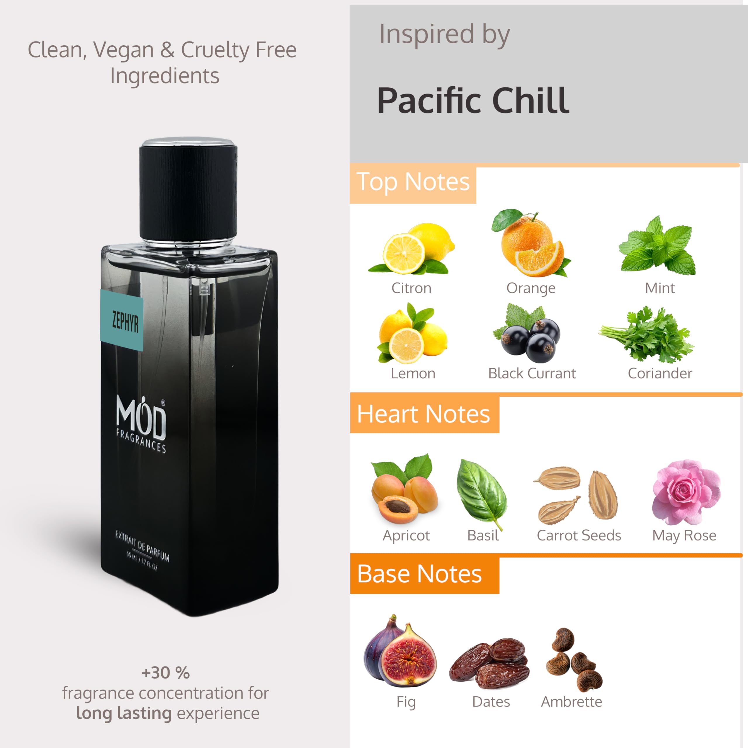 Amazon.com : Mod Fragrances Zephyr Perfume for Women & Men