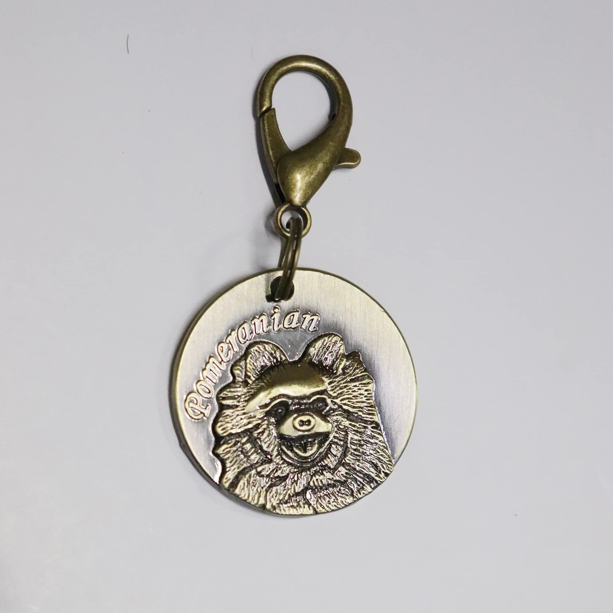 emily pets Brass Dog Collar Tag Cum Collar Charm for Dog & Puppy, Look Gold (B09KRVTFJW) Amazon Price History, Amazon Price Tracker