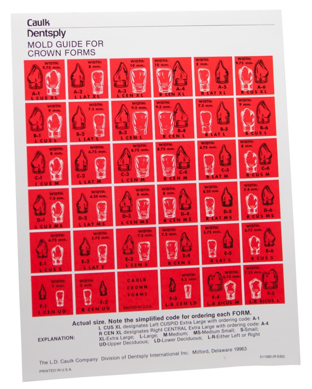 Dentsply 611503 Crown Forms, E4 (Pack of 5)