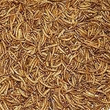 Paul's Mühle Mehlwürmer getrocknet 5 kg Premiumqualität