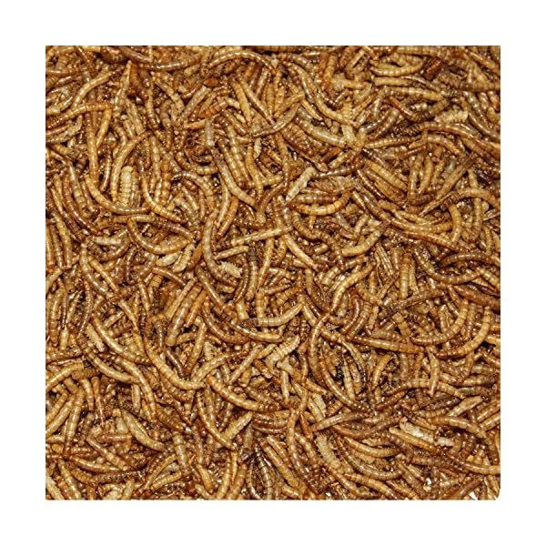 Paul´s Mühle Mehlwürmer getrocknet, Proteinreiche Würmer für Igel, Hamster, Teichfische und Vögel – Bild 6
