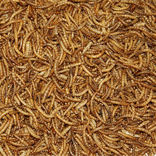 Paul's Mühle Mehlwürmer getrocknet 5 kg Premiumqualität