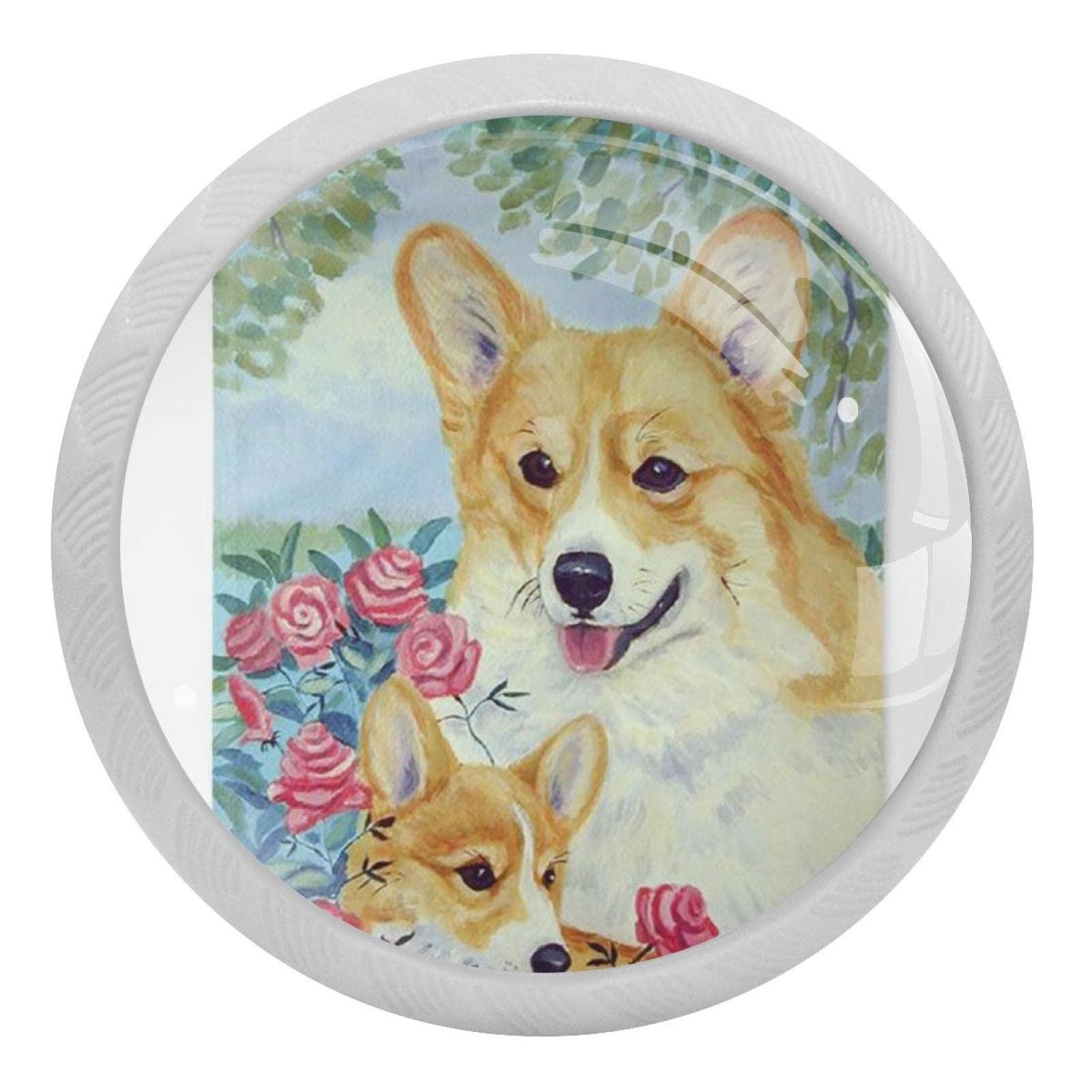Boutons de placard de cuisine Corgi lot de 4 poignées en verre 3.5cm