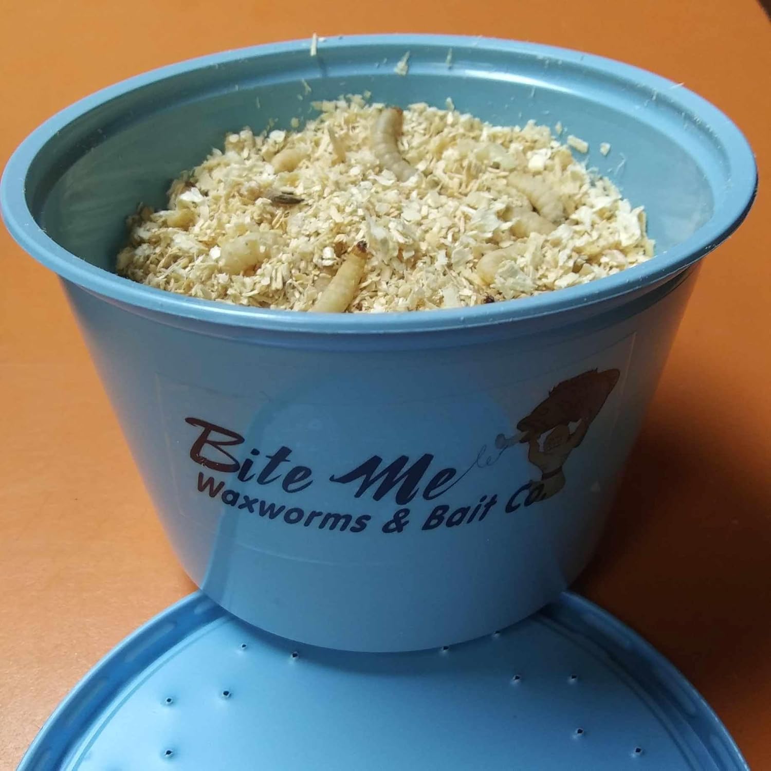 500 Waxworms, Bee Moths, Waxies