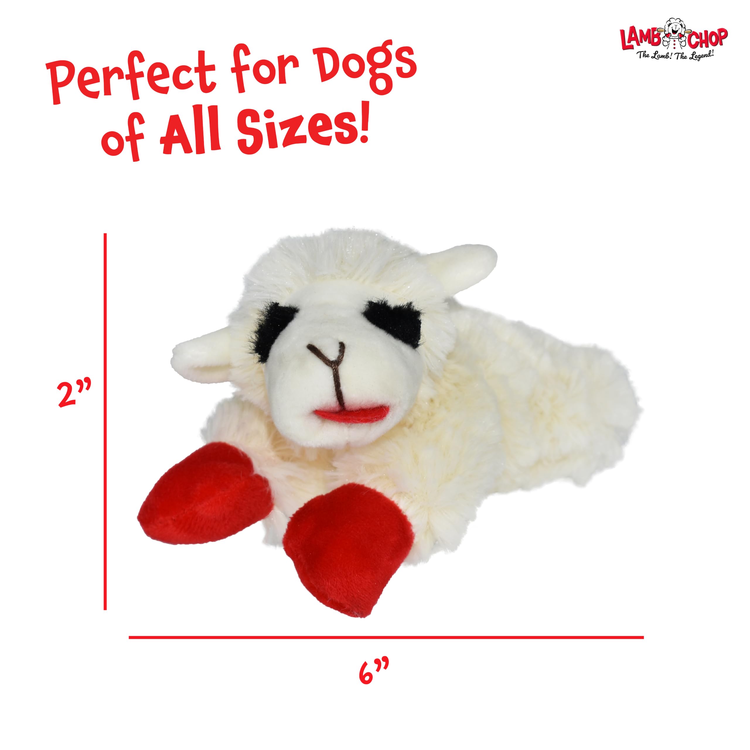 Multipet Lamb Chop Dog Plush Toy - Squeaky Toy for All Dogs
