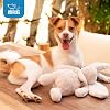 Best Pet Supplies Juguete Interactivo para Perros con Chirrido, Ideal para Masticadores, Perros Pequeños, Medianos y Grandes, y Amantes de Fetch - Conejo (Beige), Grande 6