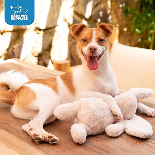 Vista 40 de Best Pet Supplies - Juguetes para cachorros y perros adultos, crujen y hacen chirridos, pollo (azul)