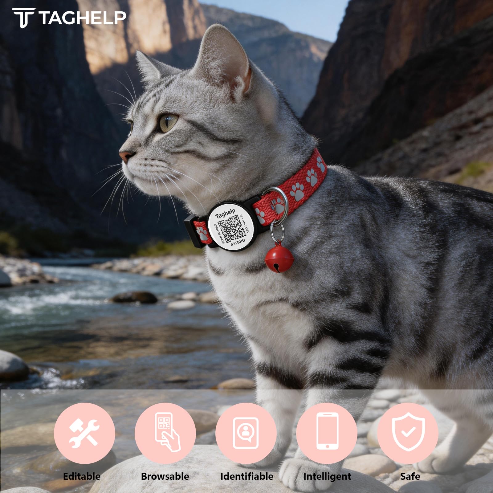 Paquete de 6 collares para gatos con hebilla de seguridad separable y etiqueta de identificación inteligente con código QR, collares de gatito ultra suaves y ajustables para gatos, bonito diseño de