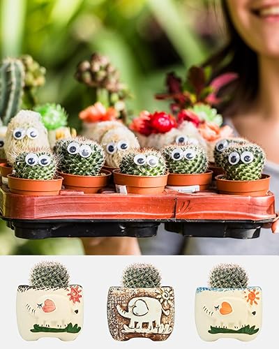 Miniatura 7 de Macetas de elefante con orificio de drenaje, bonitas macetas para suculentas, macetas para decoración del hogar, interior y exterior, jardín