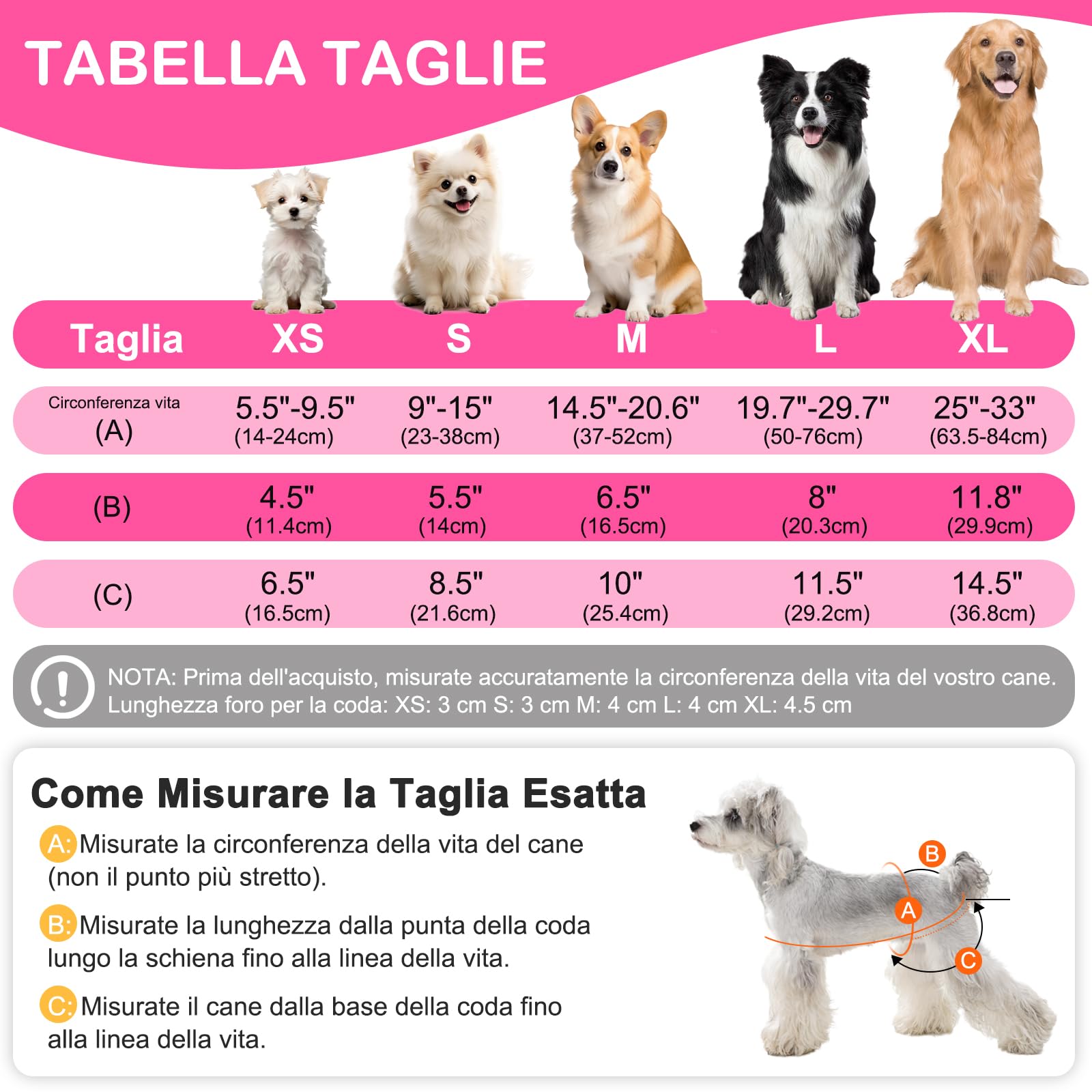Mutandine Cane Femmina Calore Lavabili S (3 Pezzi), Assorbenti per Cani e Gatti, Pannolini da Ciclo per Femmine Cani