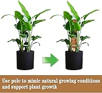 Vista 7 de 2 postes de musgo de coco de 12 pulgadas para plantas trepadoras con 4 lazos ajustables para plantas, palo de tótem de musgo de coco para extensión