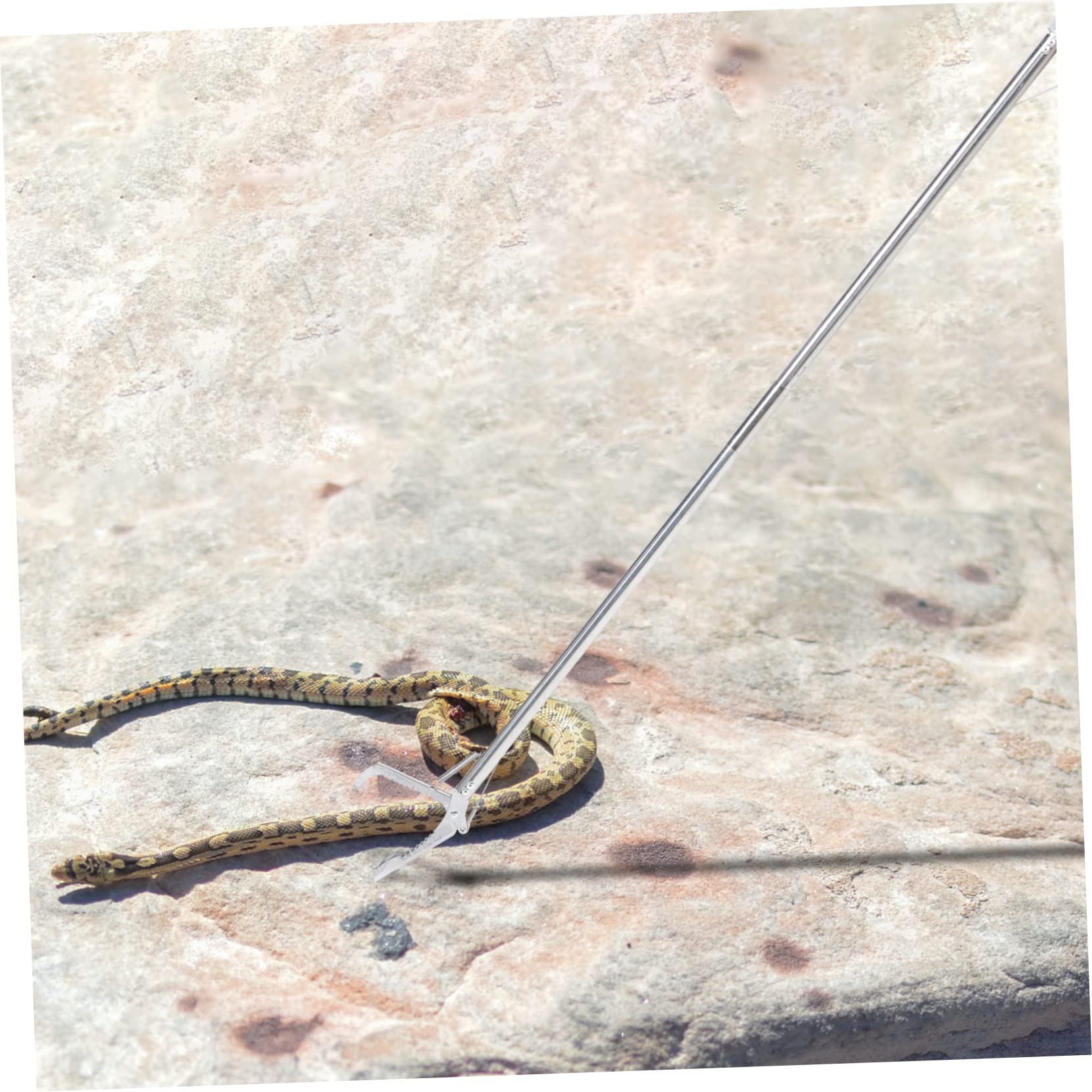 Pinza Metálica Abrazadera para Reptiles Gancho para Serpientes Acero Inoxidable Fácil De Usar