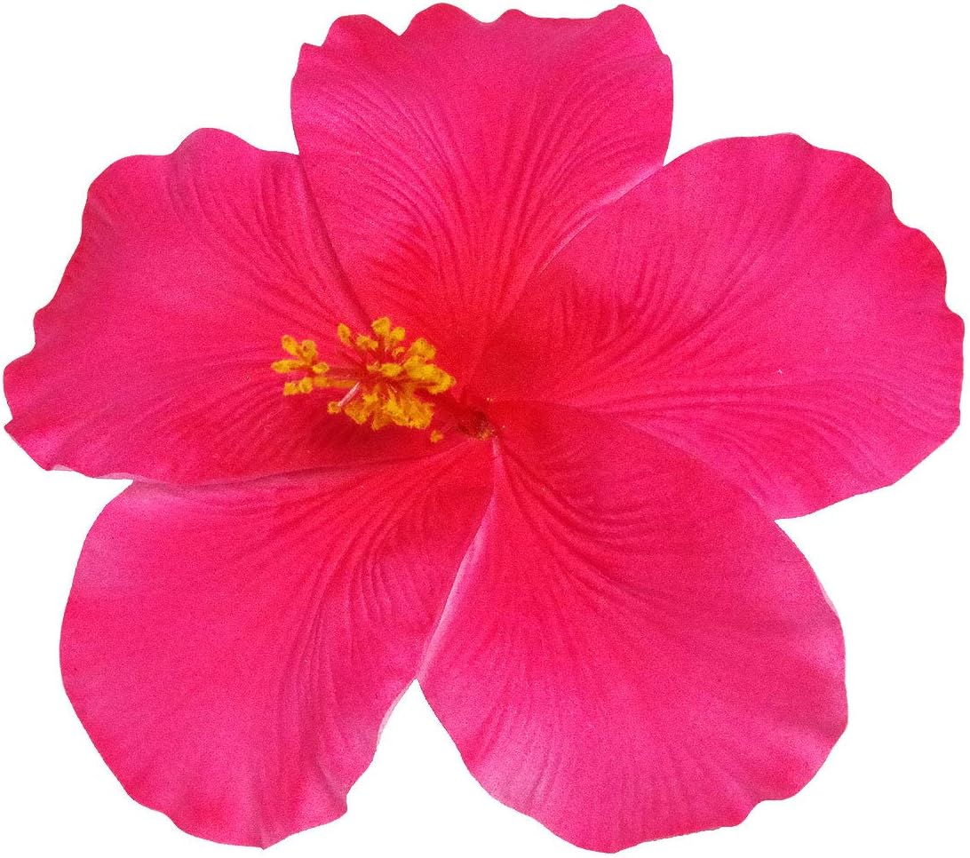 Amazon.co.jp: (ムームーママ)MuuMuuMama オリジナル 髪飾り ビッグ