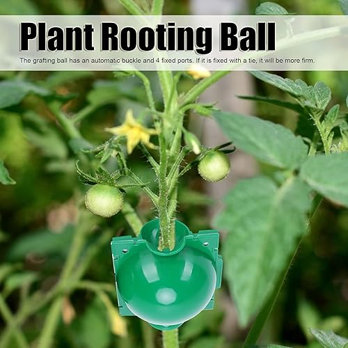 Miniatura 2 de TOPINCN Caja de cultivo de raíces de plantas, contenedores de propagación de raíces de alta presión, caja de injerto de plástico, enraizamiento de