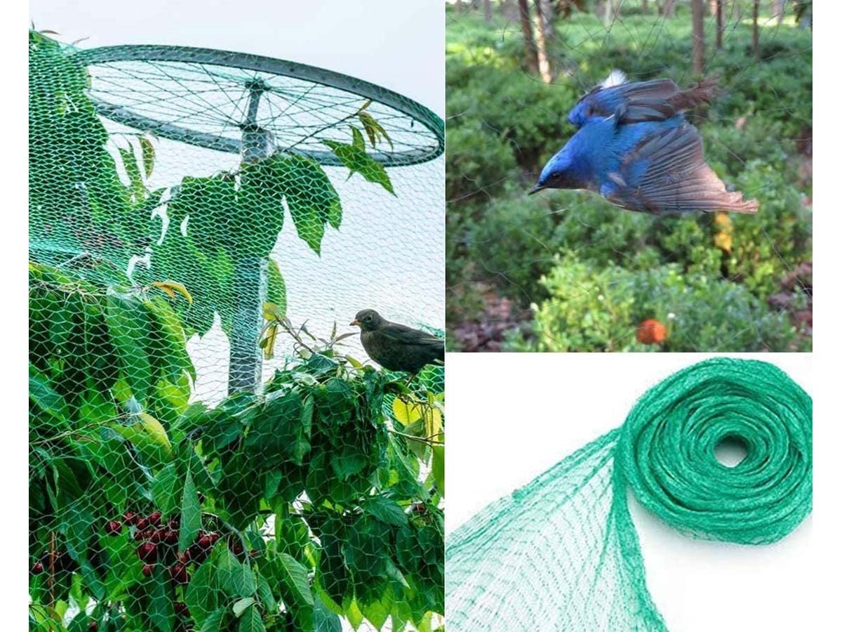 Anti-vogelnet Voor Tuin – 4 X 10 M, Nylon, Maaswijdte 15 Mm, Beschermt Fruit En Planten, Op Maat Te Snijden