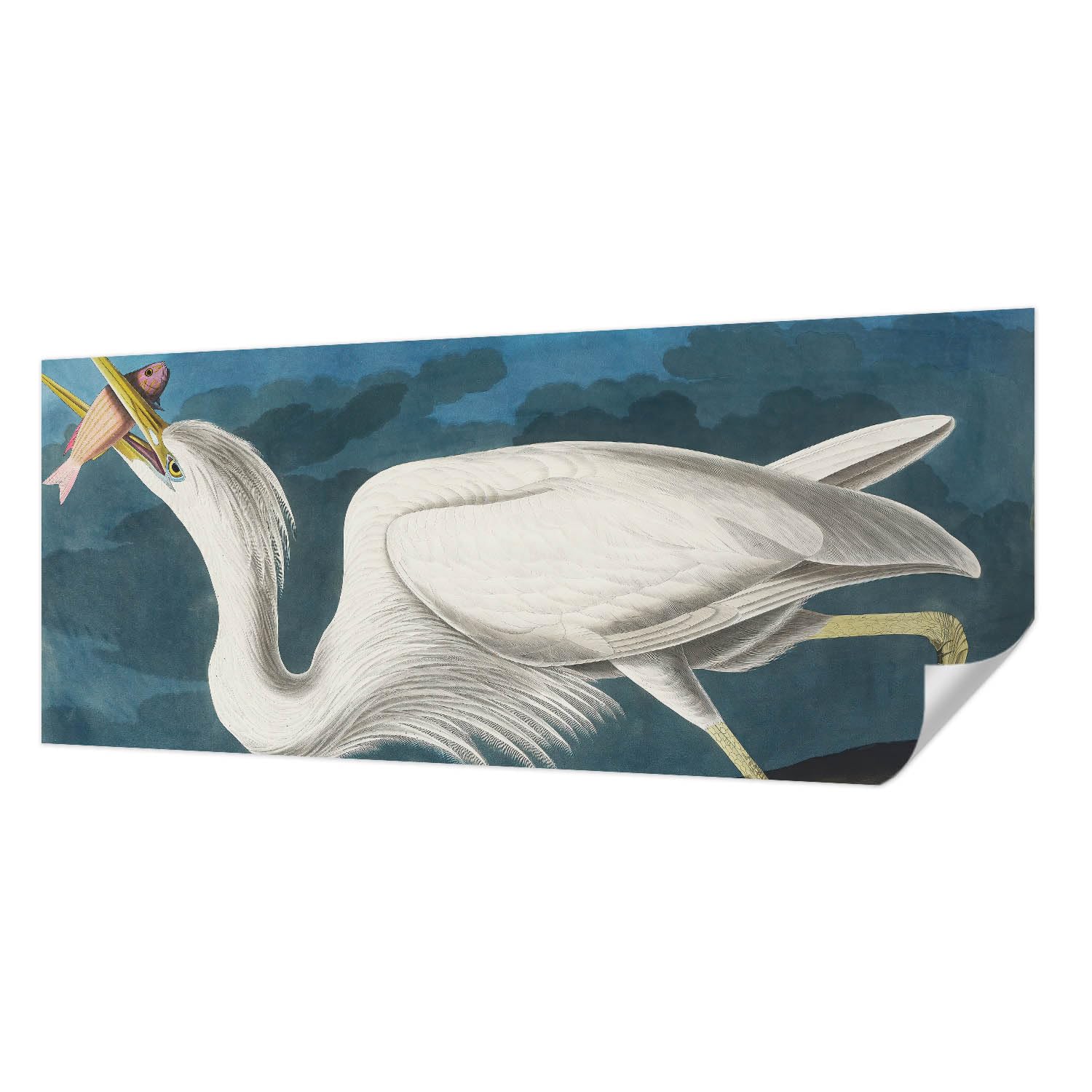 Papier peint panoramique oiseau 250x104 cm autocollant anti-tache pour masquer défauts muraux