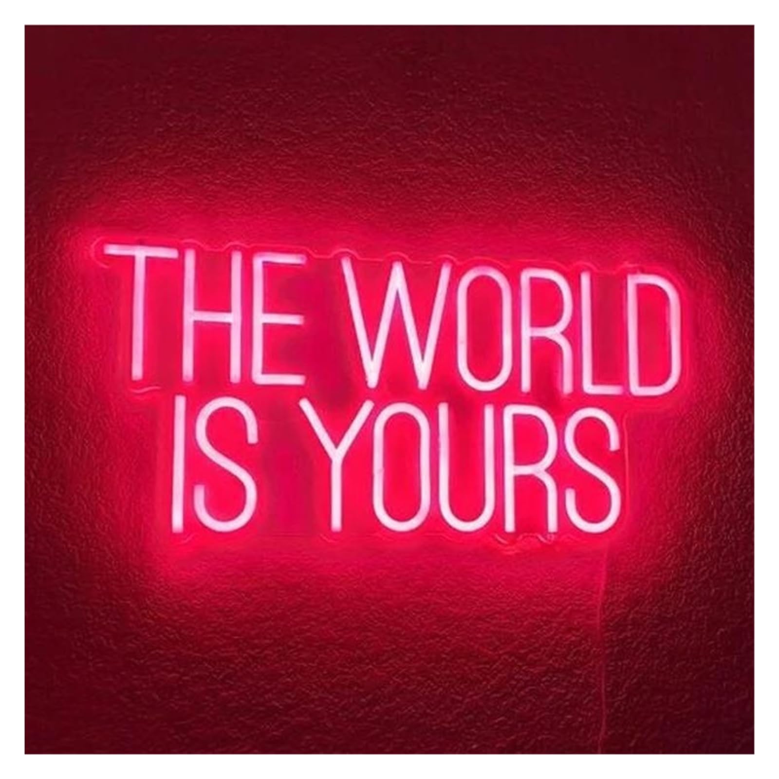 SHOUXI Sign Lamp The World is Yours Neon Sign Light for Wedding Birthday Room Birthday Engagement Holiday Wall Hanging Personalized Decor USB Powered Lamp(40X20cm)