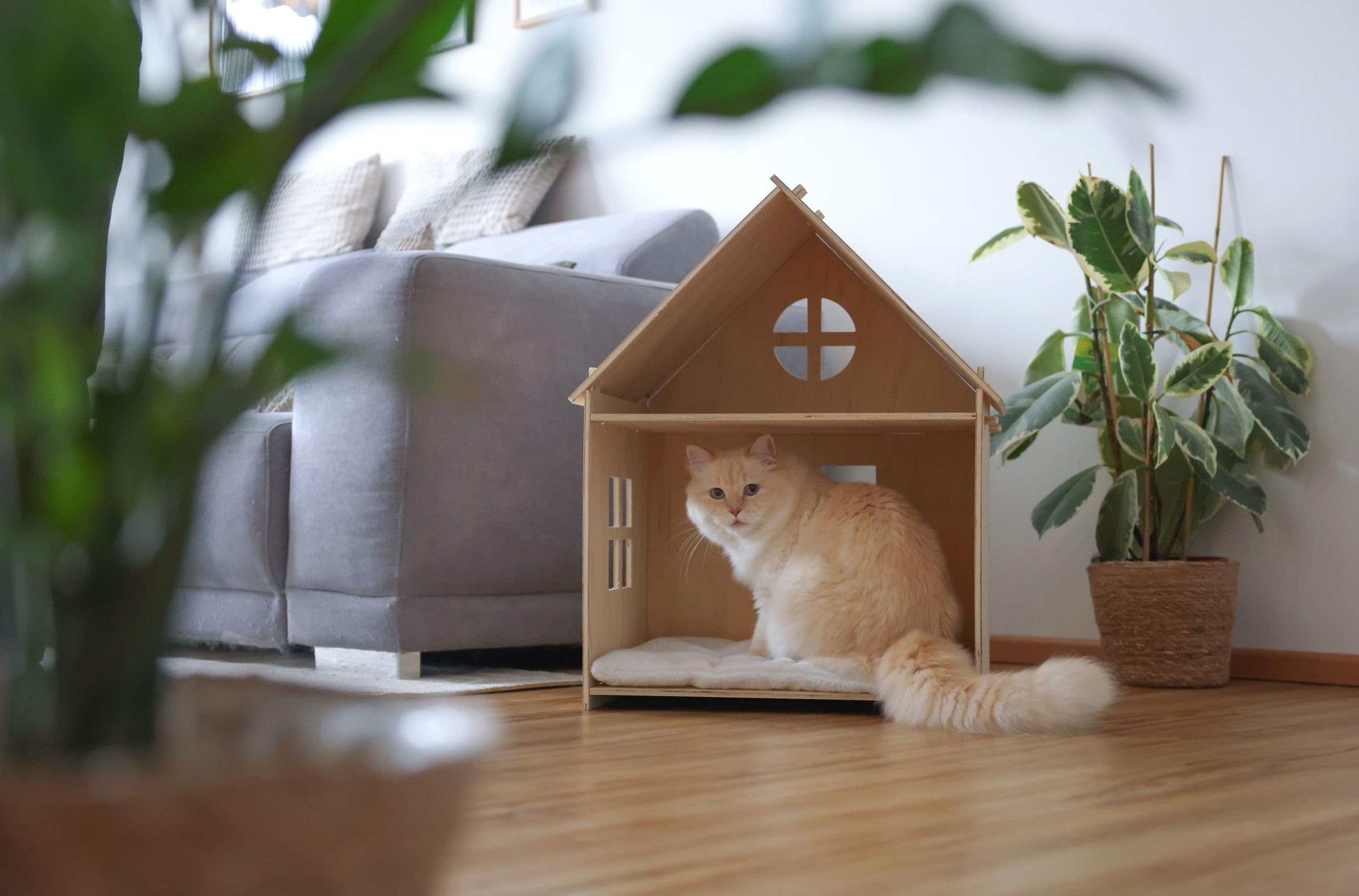 KERBL PET Casetta gatti Yvi, Indoor, 50x38x67 cm