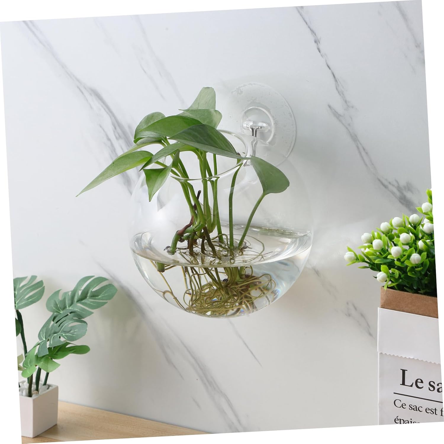 4pcs Glass Hanging Planter Vase Round Wall Hanging Vase for Indoor Plants Propagation Station Unique Shape and Space-Saving Design