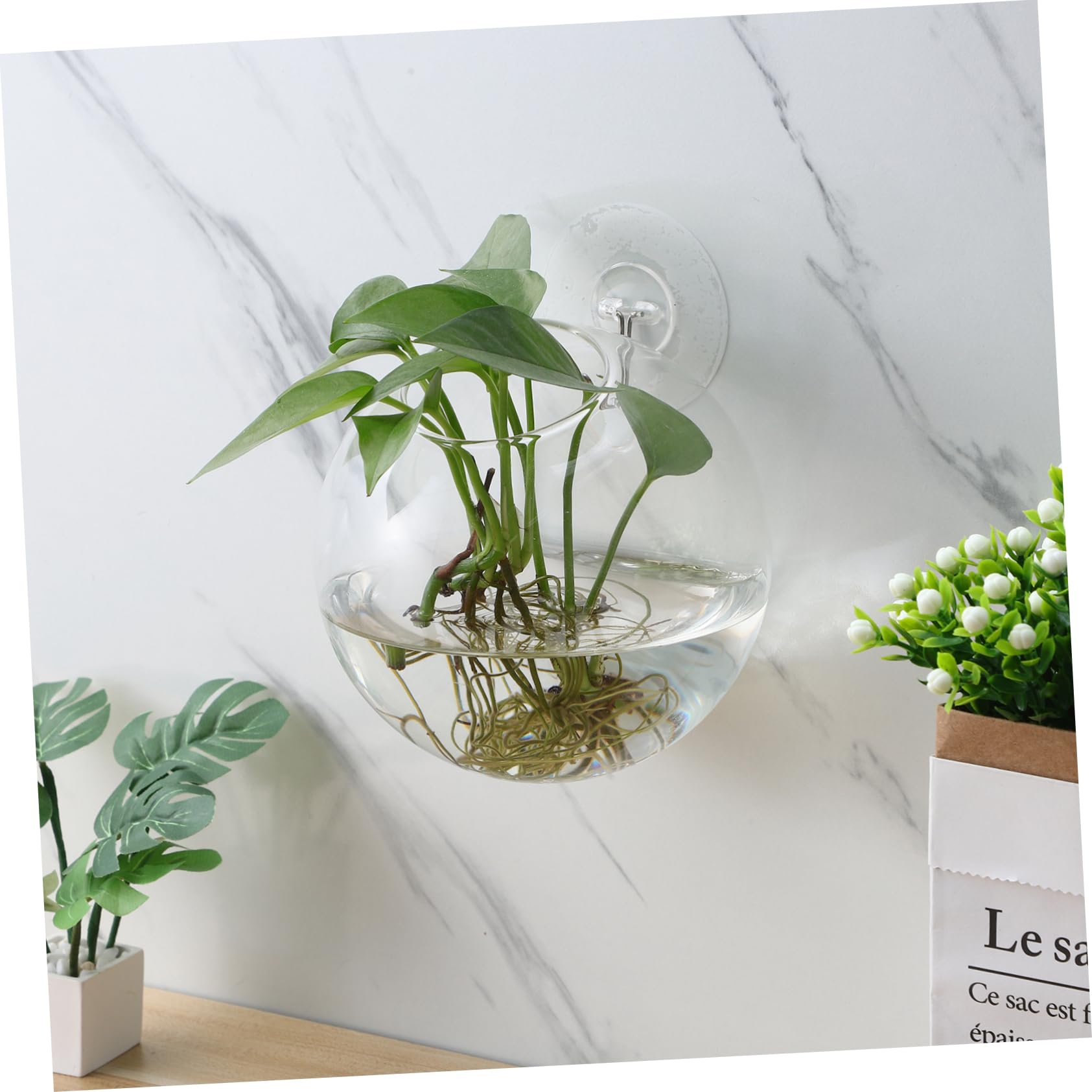 4Piezas Macetas de Transparentes para Pared Estación de Propagación de Plantas Colgantes Jarrones Redondos para Decoración de Interiores Diseño Elegante y Ahorrador